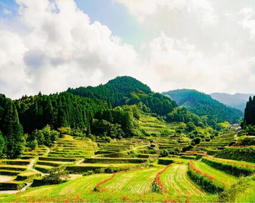 新潟大学里山共生研究部門<br> (新潟大学佐渡自然共生科学センター）